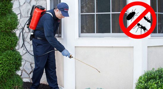 Erfelek Bit İlaçlama böcek ilaçlama ve haşere kontrolü — ilaclama-tr.com